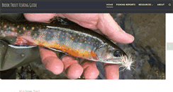 Desktop Screenshot of brooktroutfishingguide.com